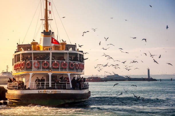 Guided Bosporus Cruise with Public Boat